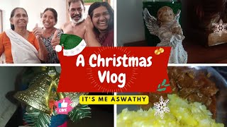 ഞങ്ങളുടെ ഒരു ചെറിയ Christmas ആഘോഷം⛄💖||A Christmas vlog 🎄🎁||