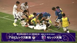 第97回天皇杯3回戦 アルビレックス新潟 vs セレッソ大阪 ダイジェスト