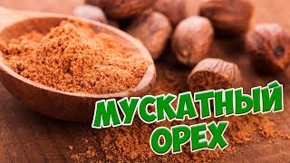 Пряности и приправы 🌟 МУСКАТНЫЙ ОРЕХ 🌟 Обзор от HItsadTV