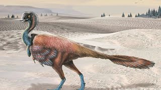 Unraveling the Oviraptor: The Misunderstood Dinosaur