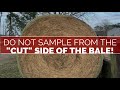 forage and hay sampling