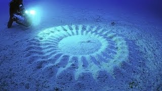 MYSTERIOUS UNDERWATER CROP CIRCLES