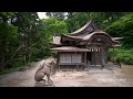 jg 4k 鳥取 大山 大山寺と大神山神社 daisen daisenji and ogamiyamajinja tottori