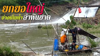 ยกยอใหญ่ลำพันชาด หมานขนาดยิ่งยกปลายิ่งเข้า  Catch fish at the reservoir.