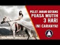 Pelet Jaran Goyang Puasa Mutih 3 Hari, Ini Tata Cara Amalannya!