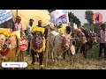 top horihabba jallikattu bulls of brahma samrajya ಹೋರಿಹಬ್ಬ ತಡಸನಹಳ್ಳಿ 2022