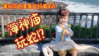 印尼生活7-2024年8月巴厘岛旅行第四天-4岁小孩海神庙疯狂蹂躏大白蛇，终于找到好吃的烤猪排了