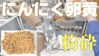 【にんにく卵黄パウダー】卓上連続粉砕機でにんにく卵黄を粉砕（ハンマーミル）