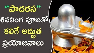 పాదరస శివలింగ పూజతో కలిగే అద్భుత ప్రయోజనాలు || Benefits Of Worshipping Mercury Shivalinga!