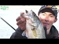 daiwa×bottomup 川村光大郎 follow my f 【兵庫県 青野ダム2】｜ultimate bass by daiwa vol.590