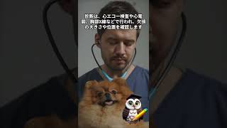 たった１分でわかる心房中隔欠損症#病気#雑学#健康 #医療