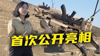 背起枪就冲锋！国产“机器狼”首次公开亮相！未来战争怎么打？打团战我们“机器狼群”是专业的！20241111 | 军迷天下