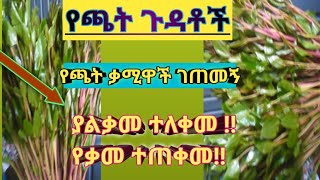 የጫት ጉዳቶች እና  ገጠመኝ (ያልቃመ ተለቀመ የቃመ ተጠቀመ !!