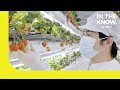 Inside Oishii’s vertical farm that grows world’s sweetest strawberries