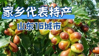 山东16个城市，各自选一个代表特产会怎样？你家乡的特产是什么？【鲁生可畏】