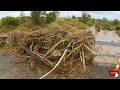 queensland floods lockyer valley flood