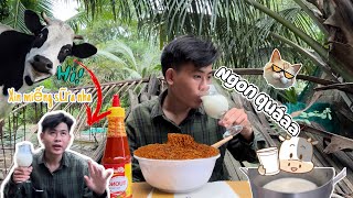 Sữa Bò Nguyên Chất Béo Ngậy và Mỳ Cay Trộn| Ngon Bá Cháy