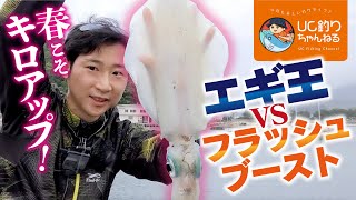 春を求めてアオリイカエギング！福岡の糸島に釣りに行く！