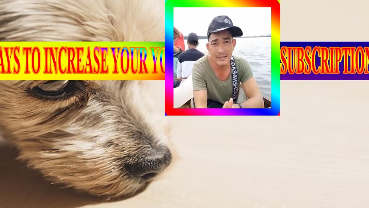 Life Experience Ways To Increase Your Youtube Channel Subscriptions