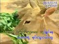 သဘာဝရဲ့ရင်သွေးငယ်တွေ karaoke