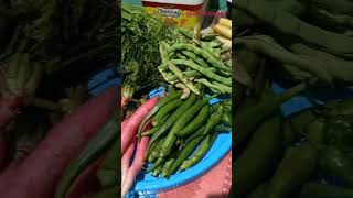 organic vegetable from my sister-in- law #shortsvideo #organicvegtables#family #food