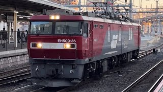 【4K】【EH500-36 単機回送】JR貨物EH500形36号機が単機で大宮駅を通過するシーン（臨8063レ・仙貨A151・コンテナ輸送でしたが運ぶものが無いため種変し単機）2022.2.21