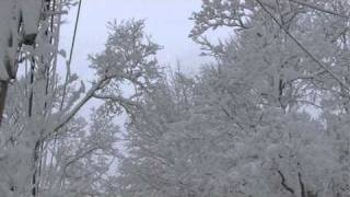 Boston Snow Storm January 12, 2011 Part1