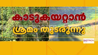 മാനന്തവാടിയിൽ ഭീതി പടർത്തി കാട്ടാന, എത്തിയത് കർണ്ണാടകയിൽ നിന്ന് | Mananthavady