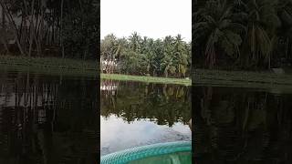 காவிரி தாயின் மடியில் ...!!😃 | அலை  கடலாய் ஓடும் நதியில் ... #river #kaveri #kaveririver |