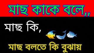 মাছ কাকে বলে || মাছ কি । মাছ কত প্রকার ও কি কি , কাতলা মাছ, মাগুর মাছ, শিং মাছ,ইত্যাদি | মাছ বলতে কি