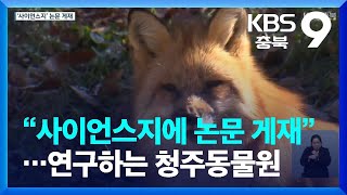 “사이언스지에 논문 게재”…연구하는 청주동물원 / KBS  2023.12.01.