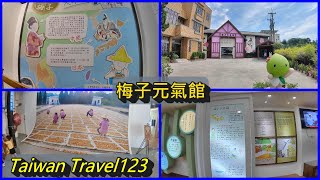 小歐遊台灣123-嘉義縣梅山鄉梅問屋梅子元氣館,手工DIY,梅子製作過程