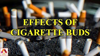 சிகரெட் துண்டுகள் சுற்றுச்சூழலில் ஏற்படுத்தும் தாக்கம் | Effect Of Cigarette Buds In Environment