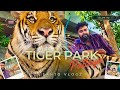 Tiger Park 🐯 | Pattaya | 2024 | Full details | Thailand Vlog #2