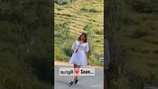 ඇරයුම(Arayuma)-Chinthaka Dilshan | Tiktok #chinthakadilshan #song #ඇරයුම #arayuma #newsong #tiktok