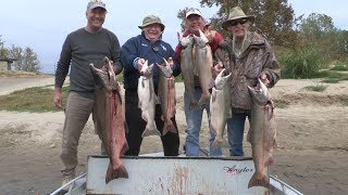 Feather River Late Fall Run Chinook Salmon Fishing