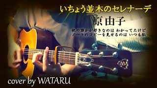 いちょう並木のセレナーデ(原由子)cover by WATARU