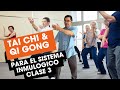 Cómo fortalecer el Sistema Inmunológico con Tai Chi & Qi Gong - Clase 3