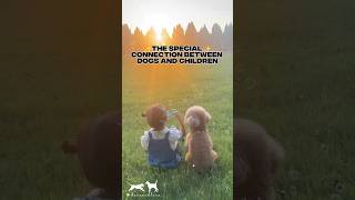 The special connection between dogs and children #dog #dogs #doglover #shorts #shorts #pet #pets