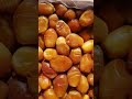 zahedi dates