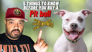 5 Things You Must Know Before Buying a Pit Bull