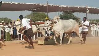 ఐజా సీనియర్స్ విభాగం ఏడవ జత. దేవ బండ భాస్కర్ గౌడ్