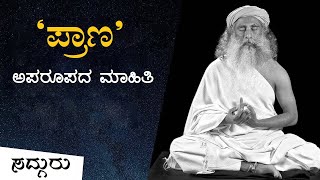 ಕುತೂಹಲಕಾರಿ ಮಹತ್ವವುಳ್ಳ 'ಪ್ರಾಣಾಯಾಮ' | Sadhguru Kannada