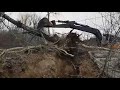 Корчування пнів дерев екскаватором shorts short excavatorworking excavator heavy