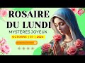 ROSAIRE DE GUÉRISON : MYSTÈRES JOYEUX, ROSAIRE DU LUNDI🌹07 OCTOBRE 2024🙏🏻PRIÈRE POUR RENOUVEAU