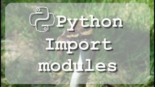 #13 Learn to use Python import module