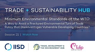 Webinar | Minimum Environmental Standards at the WTO