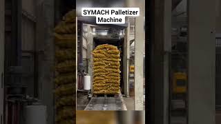 Smart Potatoes Palletizer  ‼️ #trending #viral #machine