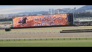 2023/02/19 東京競馬場② フェブラリーS(GⅠ)など