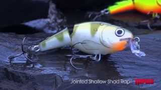 Rapala Jointed Shallow Shad Rap®